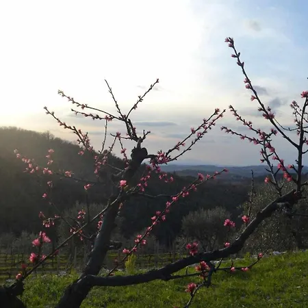 Vakantieboerderij San Silvestro *